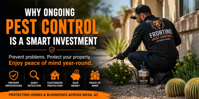 5 Reasons Ongoing Pest Control is Better Than One-Time Treatments
