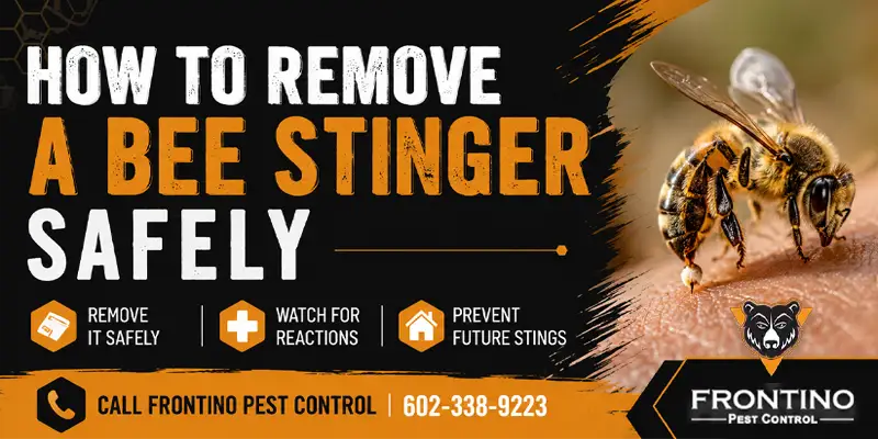 Bee Sting First Aid: How to Remove a Stinger and Prevent Future Problems