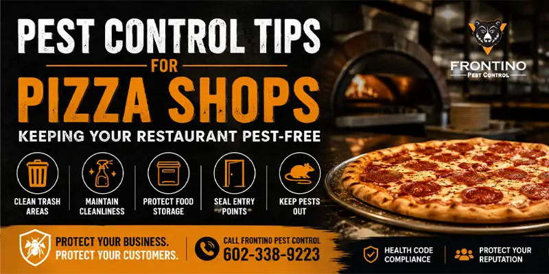 Pest Control Tips For Pizza Shops: How to Keep Your Restaurant Pest Free