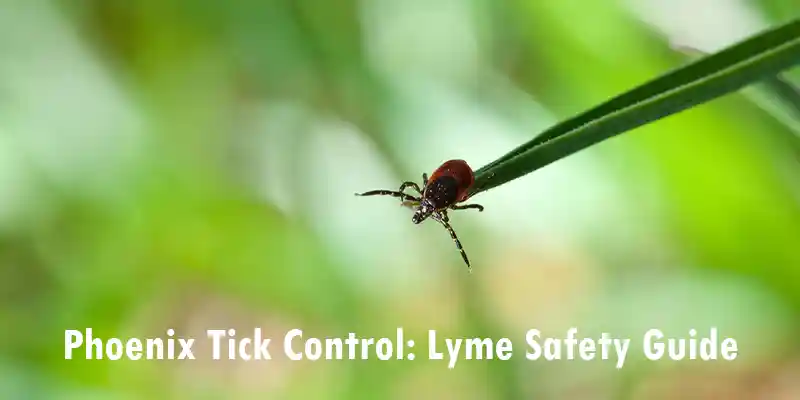 Ticks and Lyme Disease: How to Protect Your Family and Pets