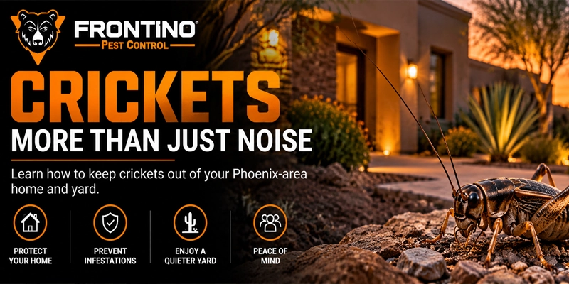 More Than Just Noise: Why Cricket Control is Important Around Your Home