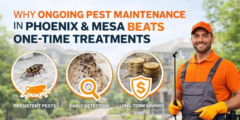 Why Regular Pest Maintenance is Better Than One-Shot Treatments