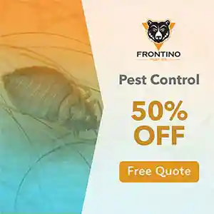 General Pest Control Discount Phoenix, AZ